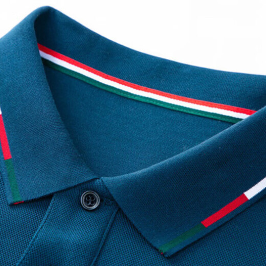 NASAOVER light luxury men's high-end t-shirt long-sleeved spring new velvet thickened lapel bottoming shirt brand men's sweatshirt high-end gray returnable with shipping insurance plus velvet M 90-110Jin Jin equals 0.5 kg