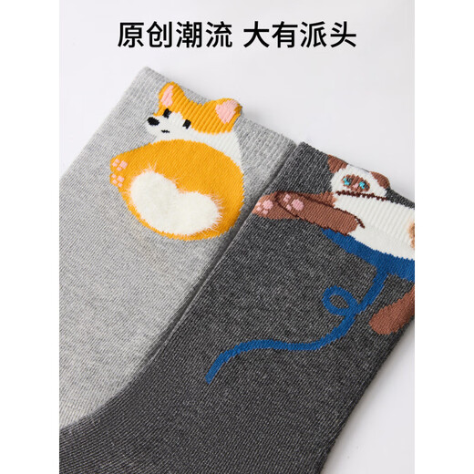Pami Gray Socks Women's Spring and Autumn Mid-calf Socks Idea Yarn 2025 New Japanese Cartoon Cute Autumn and Winter Long Socks Stretch - Pack of 5 pairs One size fits all (suitable for sizes 36-39)