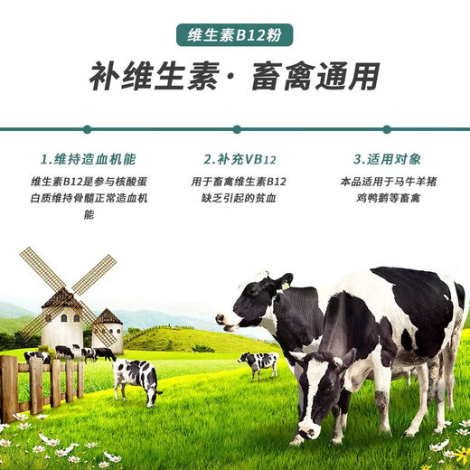 OIMG Mixed Feed Additive Vitamin B12 Powder for Veterinary Cats, Dogs, Cattle, Sheep, Pigs, Young Livestock Anemia and Growth Retardation 1 Bag Price