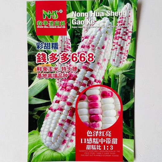 Large area sowing black and white yellow Caitian plus glutinous super sweet fruit corn high yield and early maturity wholesale Caitiannuo No. 6 One Jin Jin is equal to 0.5 kilograms