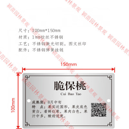 Plant introduction sign, small tree introduction sign, tree sign, stainless steel single piece with spring rope