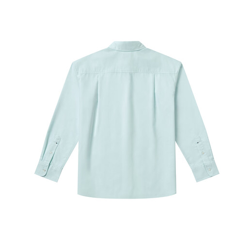 HAZZYS Women's Clothing Spring Women's PHIZ Series Commuting Loose Plain Long-Sleeved Shirt Women ASCSK1DAX01