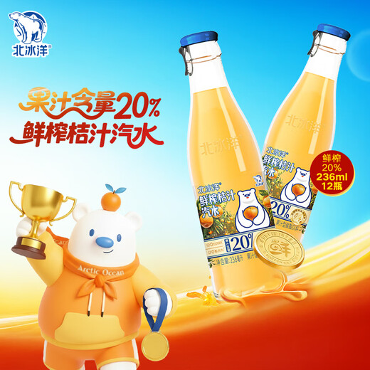 Arctic Ocean Freshly Squeezed Orange Juice Soda Juice Sparkling Carbonated Drink 236mI*12 Bottles Full Box 20% Juice Content New Year's Goods