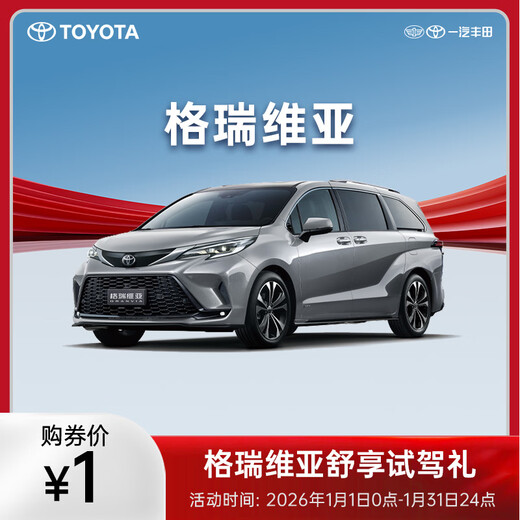 Grevia enjoys test drive gift