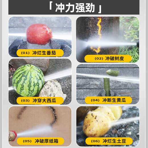 POHIR high-pressure car washing machine high-pressure water gun household 220v high-pressure cleaning machine high-power Spring Festival cleaning floor washing courtyard