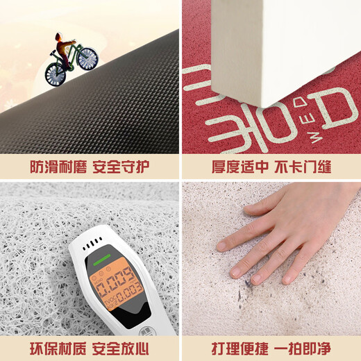 Fantasy festive door mats entrance door household floor mats entrance door wire loop foot mats door mats bedroom carpet hi 50x80cm