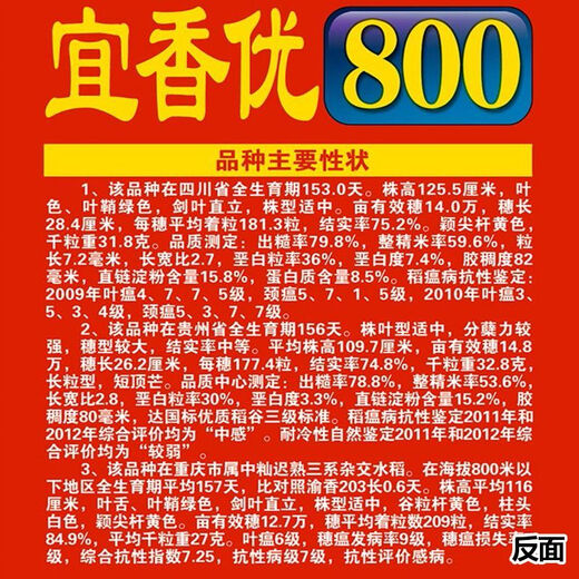 Wangyuanxing Yiyou 2108, первоклассный гибридный рис из семян риса национального стандарта, вкусный, высокоурожайный, семя риса с большими ушами, длиннозернистые ароматные семена риса, оригинальный высококачественный Yixiangyou 800 (2Jin Jin равен 0,5 кг, 2 мешка)