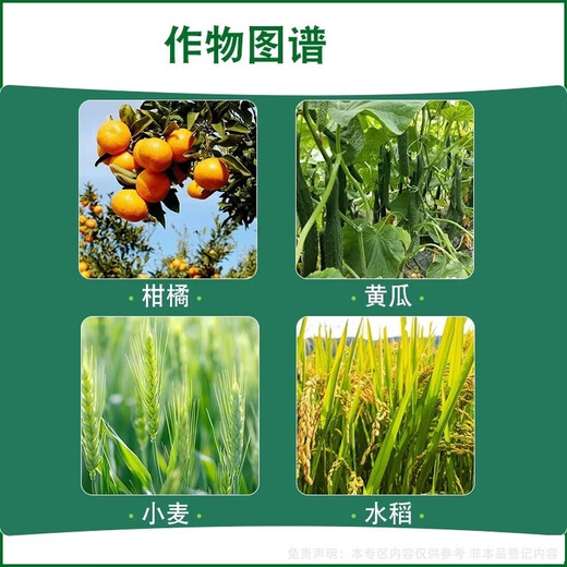 Priority Dayaomanyuan 0.01% 24-epibrassinolide cucumber plant growth regulator to cultivate strong seedlings 500g 5 bottles