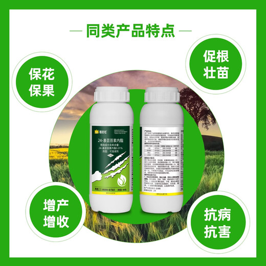 24 table high brassinolide brassinolide brassinolide fruit tree wheat brassinolide plant growth regulator 1000g