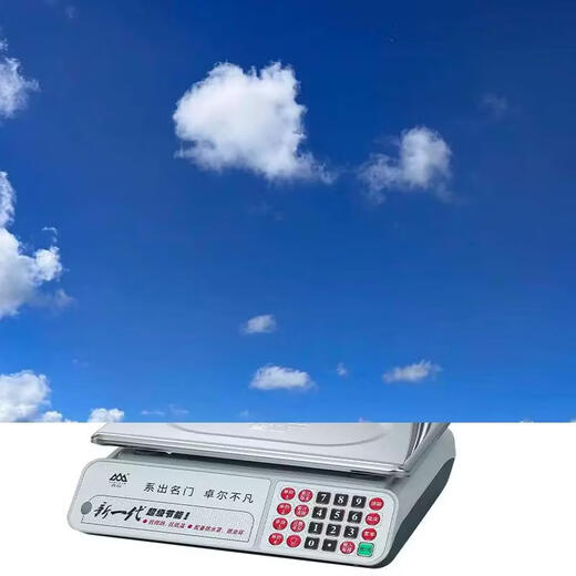 Yusenyi Xiangshan electronic scale commercial 30kgJEC large countertop fruit pricing scale vertical supermarket scale high precision waterproof JE11B upgraded large countertop 30kg5g vertical pole red letter