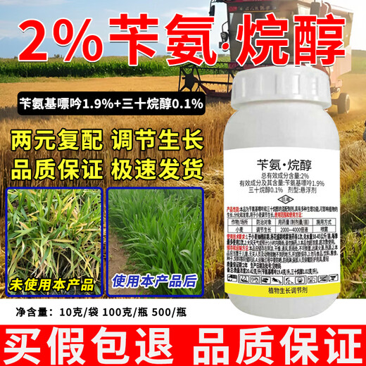 Runtian Baihu Store Hot Sale Benzylamine Alkanol Wheat Special Growth Regulator Old Brand National Standard Growth Regulator 100g*1 Bottle One Bottle One Code Complete with Three Certificates Source Manufacturer + Complete Three Certificates + Special for Wheat