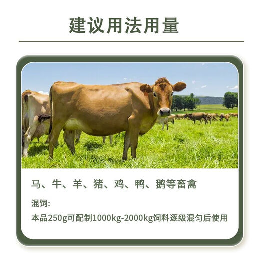 OIMG Mixed Feed Additive Vitamin B12 Powder for Veterinary Cats, Dogs, Cattle, Sheep, Pigs, Young Livestock Anemia and Growth Retardation 1 Bag Price