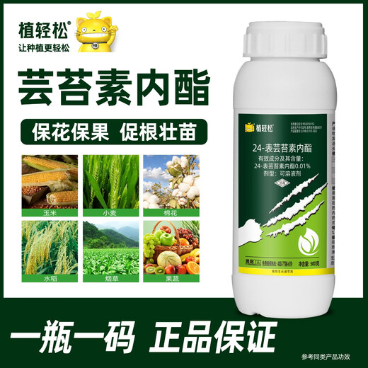 24 table high brassinolide brassinolide brassinolide fruit tree wheat brassinolide plant growth regulator 1000g