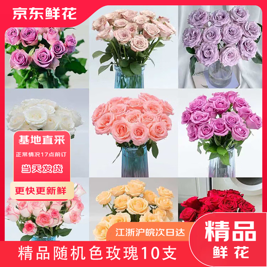 Jingdong Flowers Boutique Soilless Cultivation Roses in Random Colors 10 Pack New Year's Eve and New Year's Day New Year's Eve Gifts 45-50CM Straight from the Source