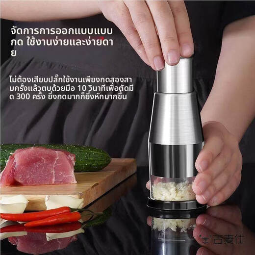 ZFEN Germany imported quality garlic press 304 stainless steel kitchen household garlic blender to pound garlic, chop and mince, upgraded version_stainless steel pat knife, black