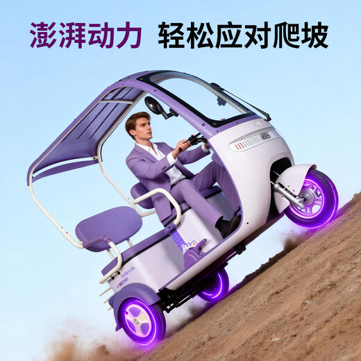 Flying Pigeon Electric Tricycle Electric Vehicle Small Household Pick-up and Drop-off for Children and Elderly Transportation Leisure All-in-One Tricycle with Covered Chaowei/Tianneng 800W Battery Life Version + 24H Black Gold About 110 Miles
