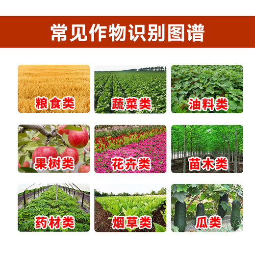 8% amine ester regulator, wheat cold resistance antifreeze, plant growth regulator to alleviate phytotoxicity, vegetable damage, 8% amine ester 10g*100 bags