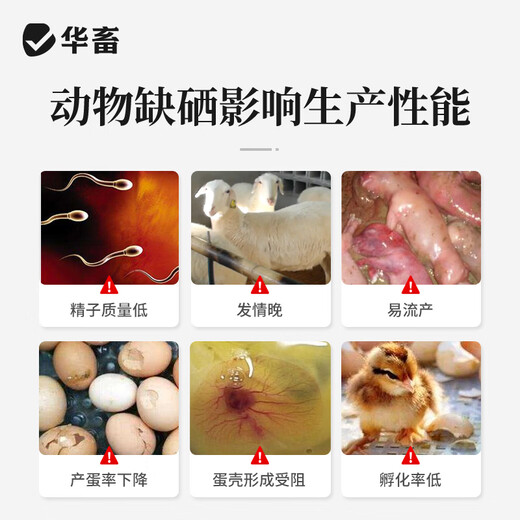 Huaxiu Yeast Selenium VE Veterinary Vitamin E Feed Additive Pigs, sheep and chickens are in estrus to help pregnancy and egg-laying female animals are infertile 5 bags as low as 5.9/bag Yeast Selenium Vitamin E