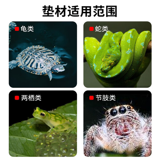 Man Life Tortoise Hibernation Coconut Soil Coconut Brick 1 Reptile Pet Coconut Soil Sterile Moss Mat Moisturizing Spider Horned Frog Reptile Pet Supplies