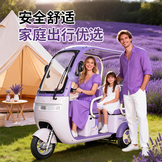 Flying Pigeon Electric Tricycle Electric Vehicle Small Household Pick-up and Drop-off for Children and Elderly Transportation Leisure All-in-One Tricycle with Covered Chaowei/Tianneng 800W Battery Life Version + 24H Black Gold About 110 Miles