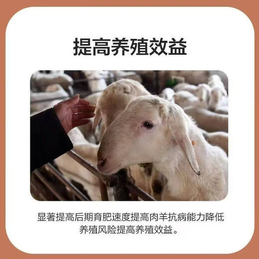 Gefuya cattle and sheep premixed beef and calf fattening feed for rapid fattening and weight gain, enlarging the skeleton, balanced nutrition and promoting growth. Xinjiang and Tibet shot this refining feed.