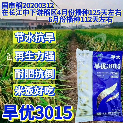 Wangyuan Xinghanyou 3015 upland rice seed original genuine long-grain rice disease-resistant, lodging-resistant and high-temperature resistant late rice ratoon rice hybrid Hanyou 3015 original bag 500g