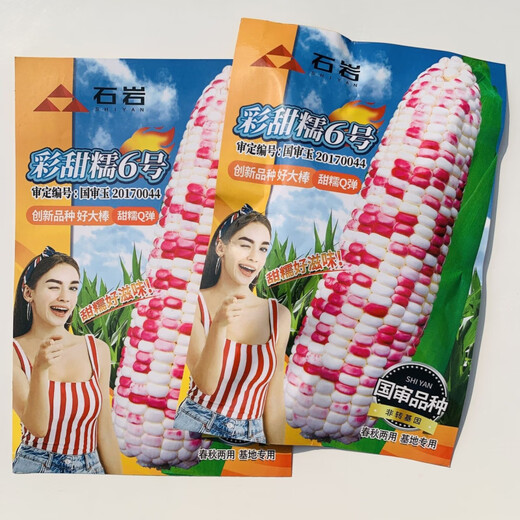Large area sowing black and white yellow Caitian plus glutinous super sweet fruit corn high yield and early maturity wholesale Caitiannuo No. 6 One Jin Jin is equal to 0.5 kilograms