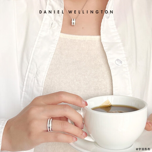 Daniel Wellington DW necklace for women, fashionable jewelry with adjustable length and contrasting colors, birthday gift for girlfriend DW00400304 silver white