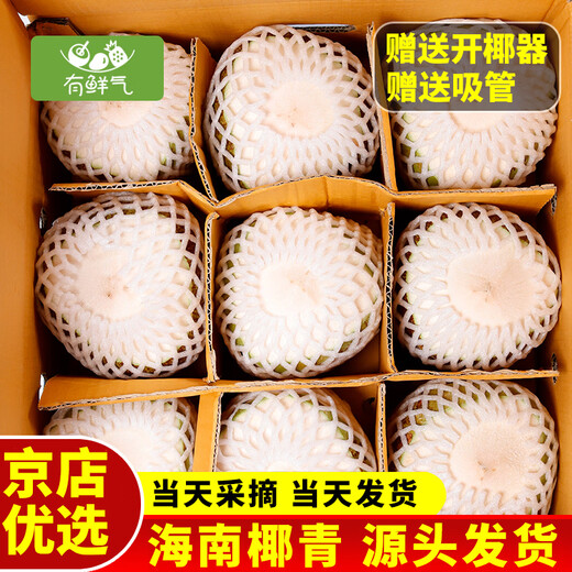 Fresh, selected large fruits, Hainan green coconut, fresh coconuts are picked and shipped to pregnant women to replenish amniotic fluid, healthy fresh coconut water, selected 9 packs (with tools)