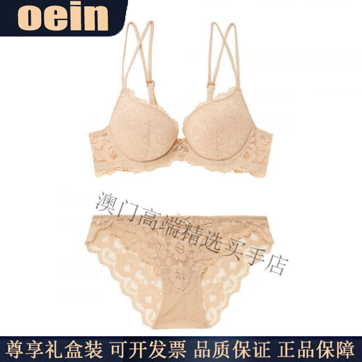 Oein, ropa interior ligera de lujo para mujer, conjunto de sujetador push-up sexy de encaje para mujer, pechos pequeños engrosados, sujetador grande para mujer, Borgoña 80B