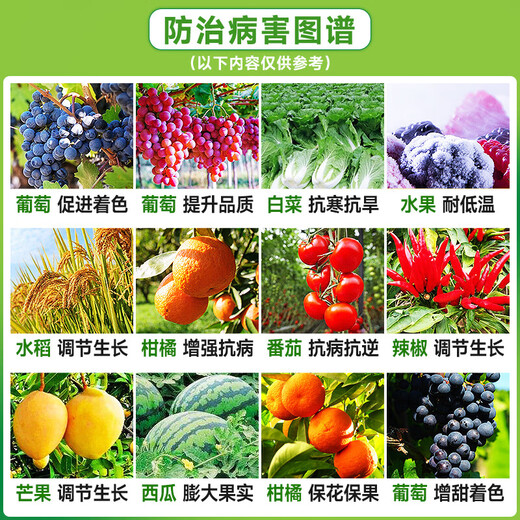 Brassinolide lipid s inducer, cytokinin, plant growth regulator, flower bud differentiation promoting pesticide 500g