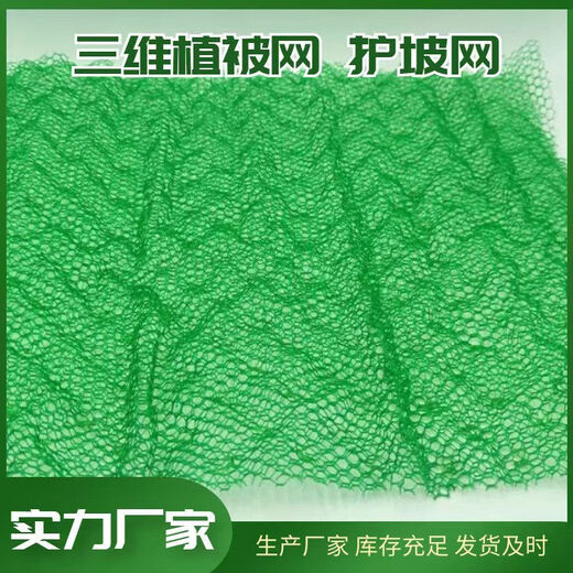 Three-dimensional vegetation network three-dimensional network geonet greening slope protection soil solidification dustproof slope protection garden grass seed planting bag one layer 2.5 meters * 400 meters 1000 square meters