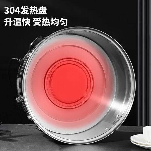 Tuojin German quality stainless steel electric steamer, electric steamer, desktop electric steam oven, steamer, rice steamer, wooden barrel, single hole plate, hole spacing 16cm, 2800W 35cm