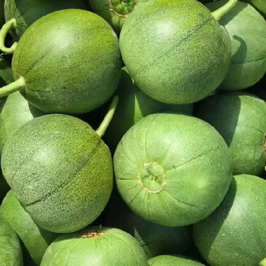 Chunzhi Yun Emerald Ice Jade Super Sweet Sugary 25 Degree Thin Skin Melon Seeds Green Skin Green Flesh Anti-Crack High Yield Melon Seeds Emerald No. 2 Original 5g Approximately 450 Tablets