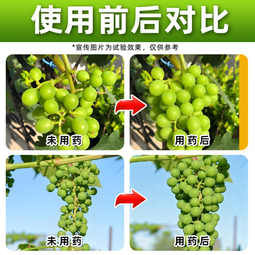 Guowang 0.35% Gibberella Chlorfenuron Grape Growth Regulator Grape Special Growth Regulator Authentic Pesticide 100ml*50 bottles Save 50 yuan on the whole box purchase