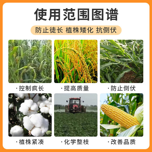 Yiershuangfeng 50% chlormequat, cotton, wheat and corn dwarf growth regulator to prevent crazy growth and lodging, increase yield and control growth, 500g (full box of 20 bottles)