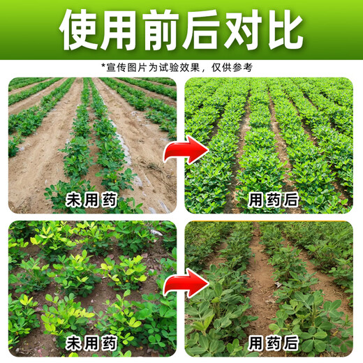 Barometer 20% choline chloride s-attractin growth regulator peanut growth regulator dual-effect compound genuine pesticide 500g*15 bottles preferred by growers