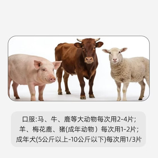 Veterinary feed additive lactic acid bacterium tablets for pigs, cattle, sheep, dogs, protease, lactic acid bacteria, yeast, calcium lactate