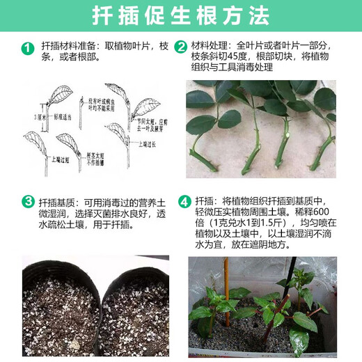 Zhongbao Penwang Hydroxylene Adenine Adenine Vegetable Growth Growth Regulator 200g/bag