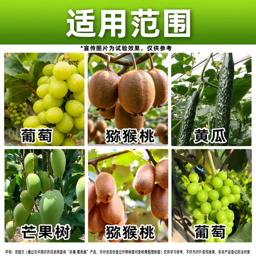 Guowang 0.35% Gibberella Chlorfenuron Grape Growth Regulator Grape Special Growth Regulator Authentic Pesticide 100ml*50 bottles Save 50 yuan on the whole box purchase