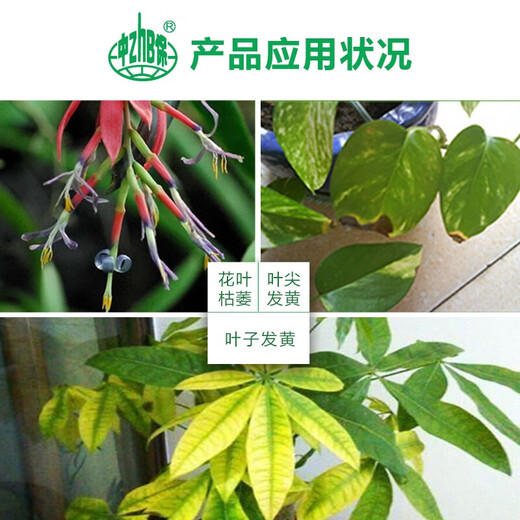 Zhongbao Penwang Hydroxylene Adenine Adenine Vegetable Growth Growth Regulator 200g/bag