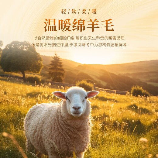 Rich 100% pure sheep wool 540G sweater winter men's thickened warm sweater with round neck men's wool sweater for men