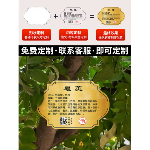 Stainless steel tree sign custom tree introduction logo nameplate sign hanging tag Arbor Day Park School Stainless steel rose gold 22x30cm