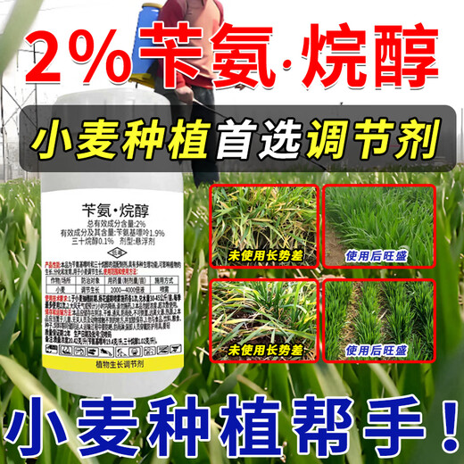 Runtian Baihu Store Hot Sale Benzylamine Alkanol Wheat Special Growth Regulator Old Brand National Standard Growth Regulator 100g*1 Bottle One Bottle One Code Complete with Three Certificates Source Manufacturer + Complete Three Certificates + Special for Wheat