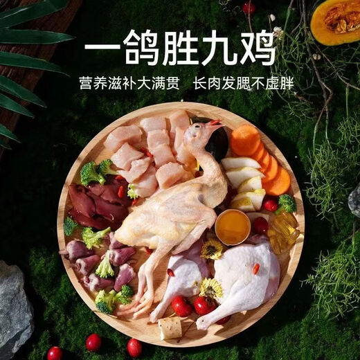 Fresh Meat Squab Freeze-dried Grain-Free Baked Dog Food Puppy Small Dog Adult Dog Food Fattening Tong Fresh Meat Squab Pure Food Free of Freeze-drying 5Jin Jin equals 0.5kg Recommended for new customers