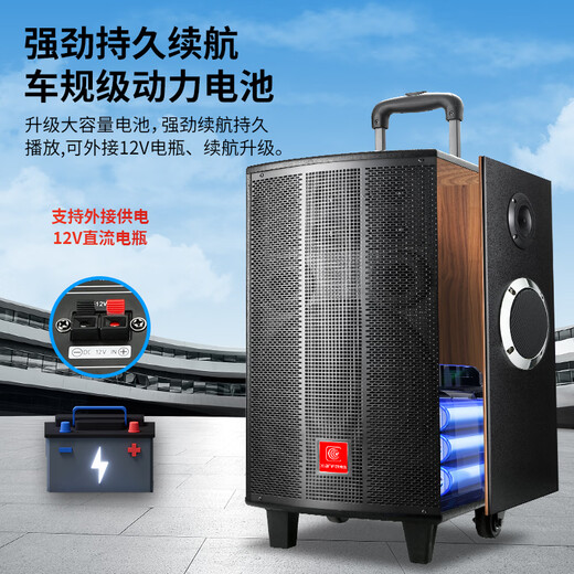 Xianfei Square Dance Audio outdoor trolley speaker high-power household karaoke Bluetooth mobile high-volume amplifier wireless microphone portable wooden box 10-inch three-way 9 speakers without microphone