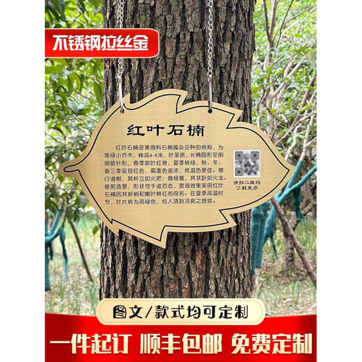 Stainless steel tree sign custom tree introduction logo nameplate sign hanging tag Arbor Day Park School Stainless steel rose gold 22x30cm