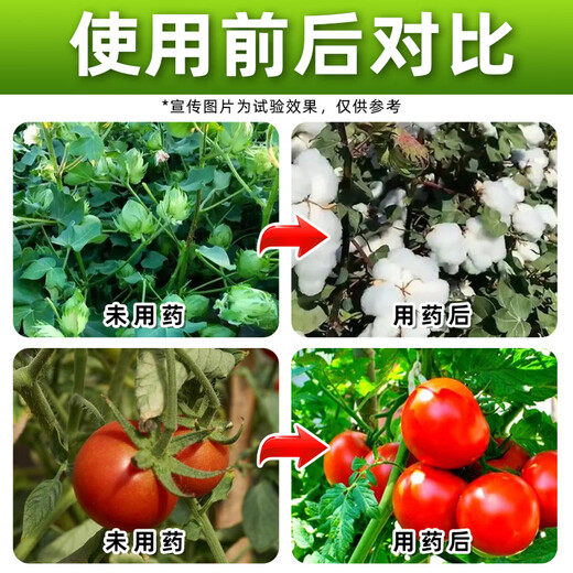 Jianwufeng 2% ammonium ester growth regulator tomato growth regulation ammonium ester ammonium ester regulator pesticide genuine 1000g*12 bottles whole box discount save 20 yuan