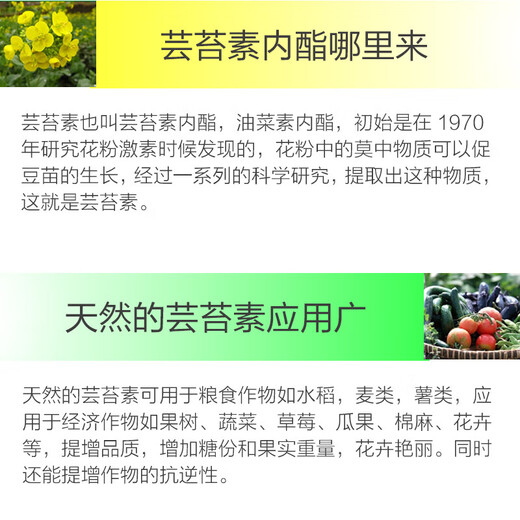 Zhongbao ZhB24 epibrassinolide lipid, rice citrus, wheat, cucumber, growth-promoting and root-promoting plant growth tune 10ml*400 bags