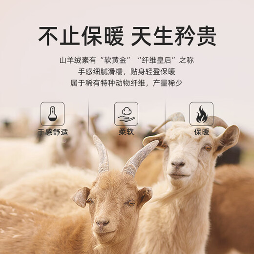 YOUNGOR shirt men's autumn and winter business casual high-end warm long-sleeved shirt blue plain 39